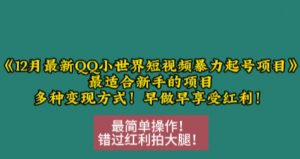 12月最新QQ小世界短视频暴力起号项目，最适合新手的项目，多种变现方式-虚拟资源库