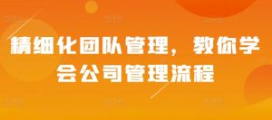 精细化团队管理,教你学会公司管理流程-虚拟资源库