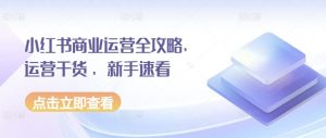 小红书商业运营全攻略,运营干货 ,新手速看-虚拟资源库