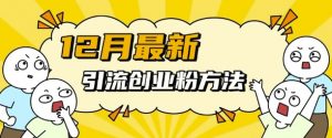 12月最新引流创业粉方法,方法非常简单,适用于多平台-虚拟资源库