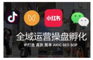 全域运营操盘(抖音+私域+小红书),IP打造高效简单-虚拟资源库