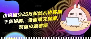 小说推文25万粉丝大佬实操干货讲解，全面毫无保留，帮你少走弯路-虚拟资源库