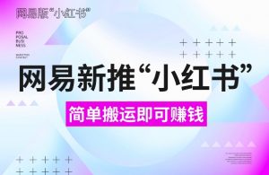 网易官方新推“小红书”，搬运即有收益，新手小白千万别错过(附详细教程)【揭秘】-虚拟资源库