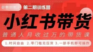 小Red书带货42天训练营 2.0版，宝妈+自由职+上班族+大学生，提高副业收入的大红利项目-虚拟资源库