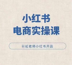 小红薯电商实操课,小红书开店实操必学课-虚拟资源库