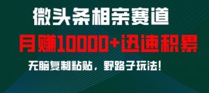 微头条相亲赛道，迅速积累，无脑复制粘贴，野路子玩法，月入1w-虚拟资源库