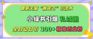 最新无脑“搬砖式”引流术，小绿书引爆私域圈，全自动日引300+精准创业粉【揭秘】-虚拟资源库