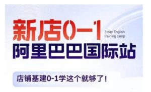阿里巴巴国际站新店0-1,店铺基建0-1学这个就够了-虚拟资源库