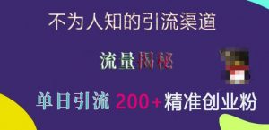 不为人知的引流渠道,流量揭秘,实测单日引流200+精准创业粉【揭秘】-虚拟资源库