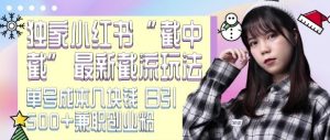 最新小红书截流玩法 独家截中截 单号成本几块钱 日引500+CY粉JZ粉-虚拟资源库