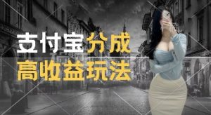 支付宝分成计划新玩法,利用交通事故视频,赚收益,轻松月入过W,操作简单【揭秘】-虚拟资源库