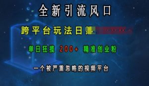 全新引流风口,跨平台玩法日入上k,单日狂揽200+精准创业粉,一个被严重忽略的视频平台-虚拟资源库