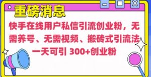 快手最新引流创业粉方法，无需养号、无需视频、搬砖式引流法【揭秘】-虚拟资源库