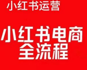红薯电商实操课,小红书电商全流程-虚拟资源库