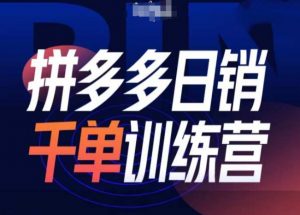 拼多多日销千单训练营第31期-微付费带免费流玩法-虚拟资源库