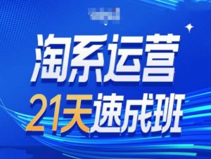 淘系运营21天速成班第34期-搜索最新玩法和25年搜索趋势-虚拟资源库