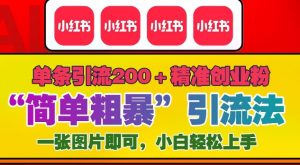 12月底小红书”简单粗暴“引流法,单条引流200+精准创业粉-虚拟资源库