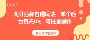 虎牙拉新自撸玩法,单个后台每天100+,可批量操作-虚拟资源库