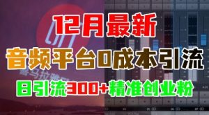 12月最新：音频平台0成本引流，日引流300+精准创业粉-虚拟资源库