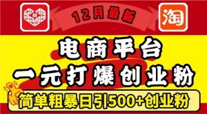 12月最新：电商平台1元打爆创业粉，简单粗暴日引500+精准创业粉，轻松月入过W【揭秘】-虚拟资源库