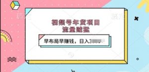 视频号年货项目，流量贼猛，早布局早挣钱，日入上k【揭秘】-虚拟资源库