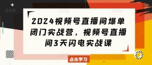 2024视频号直播间爆单闭门实战营,视频号直播间3天闪电实战课-虚拟资源库