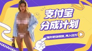 利用海外靶场射击视频,挣支付宝分成收益,轻松月入过W【揭秘】-虚拟资源库