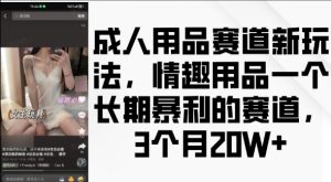 成人用品赛道新玩法，情趣用品一个长期暴利的赛道，3个月收益20个【揭秘】-虚拟资源库