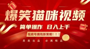爆笑猫咪视频:简单操作,日入过K,视频号搞钱新策略【揭秘】-虚拟资源库