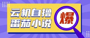 首发云手机自撸小说玩法，10块钱成本可撸200+收益操作简单【揭秘】-虚拟资源库