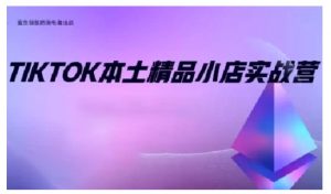 TikTok本土精品小店出海实战营，从入门到高阶，不止0-1!-虚拟资源库