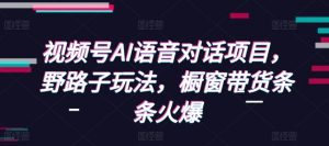 视频号AI语音对话项目，野路子玩法，橱窗带货条条火爆-虚拟资源库