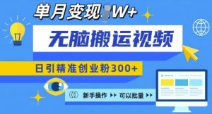 无脑搬运视频号可批量复制,新手即可操作,日引精准创业粉300+,月变现过W 【揭秘】-虚拟资源库
