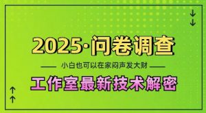 2025问卷调查最新工作室技术解密:一个人在家也可以闷声发大财,小白一天2张,可矩阵放大【揭秘】-虚拟资源库