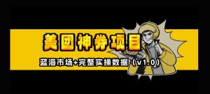 美团神券神会员_入门级教程,外卖券膨胀推广项目【全网首发,全新蓝海】-虚拟资源库