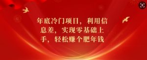 年底冷门项目，利用信息差，实现零基础上手，轻松赚个肥年钱【揭秘】-虚拟资源库