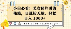 小白必看，美女图片引流秘籍，日涨粉无数，轻松日入几张【揭秘】-虚拟资源库