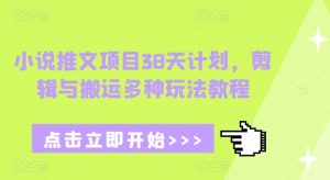 小说推文项目38天计划,剪辑与搬运多种玩法教程-虚拟资源库