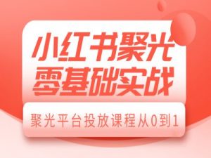 小红书聚光零基础实战，聚光平台投放课程从0到1-虚拟资源库