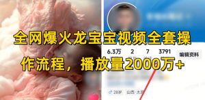 全网爆火龙宝宝视频全套操作流程，播放量2000万+-虚拟资源库