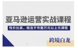 亚马逊运营实战课程，亚马逊从入门到精通，性价比高，相当于市面万元以上元课程-虚拟资源库
