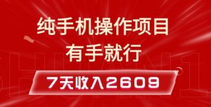 纯手机操作的小项目,有手就能做,7天收入2609+实操教程【揭秘】-虚拟资源库