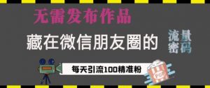 藏在微信朋友圈的流量密码,无需发布作品,单日引流100+精准创业粉【揭秘】-虚拟资源库