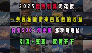 2025自热引流天花板,一条视频能带来四位数的收益,引流+变现双管齐下,日引500+创业粉,涨粉嘎嘎猛-虚拟资源库