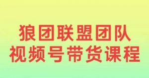 狼团联盟2024视频号带货，0基础小白快速入局视频号-虚拟资源库