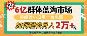 6亿群体蓝海市场，零经验小白用一台电脑，如何轻松月入过w【揭秘】-虚拟资源库