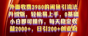 外面收费3980的闲鱼引流法,轻松易上手,0基础小白即可操作,日引200+创业粉的保姆级教程【揭秘】-虚拟资源库