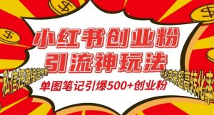 小红书创业粉引流神玩法,单图笔记引爆500+精准创业粉丝,私信狂潮接连不断-虚拟资源库