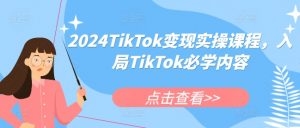 2024TikTok变现实操课程，入局TikTok必学内容-虚拟资源库