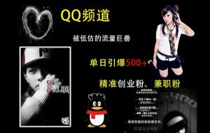 QQ频道：被低估的流量巨兽，单日引爆500+精准创业粉、兼职粉的引流秘籍-虚拟资源库